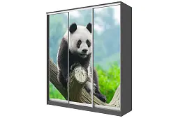Шкаф-купе 3-х дверный с фотопечатью Панда